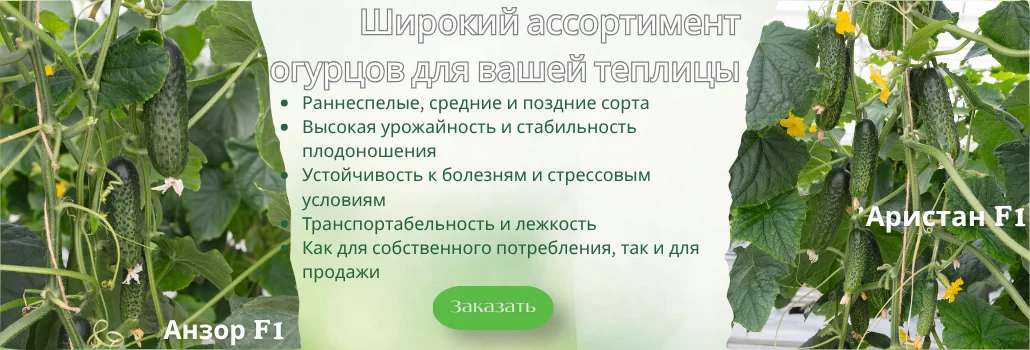 Огірки