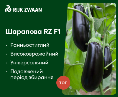 Шарапова RZ