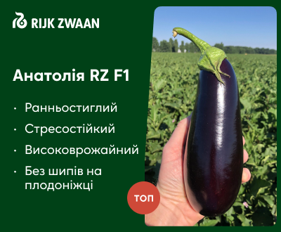 Анатолія RZ