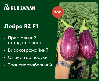 Лейре RZ