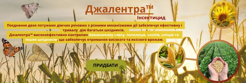 Джалентра