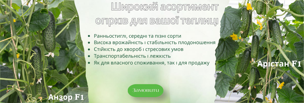 Огірки