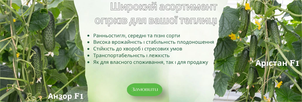 Огірки