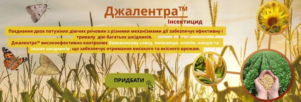 Джалентра