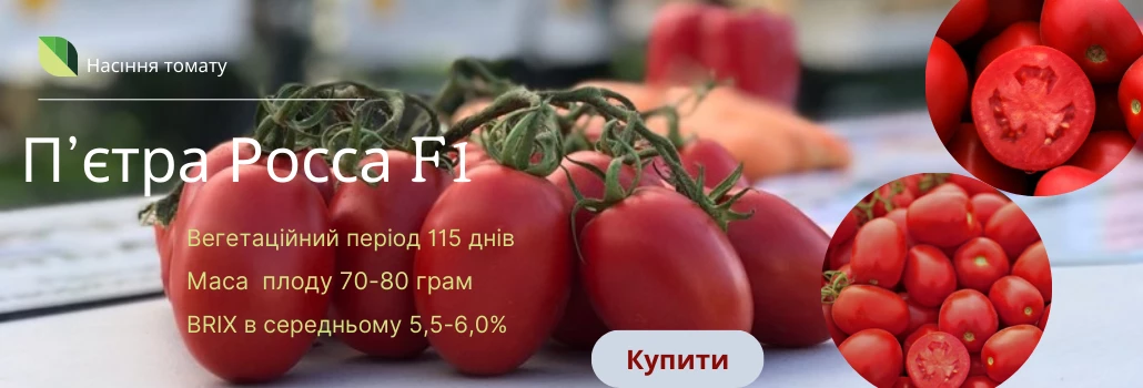 Пьетра Росса