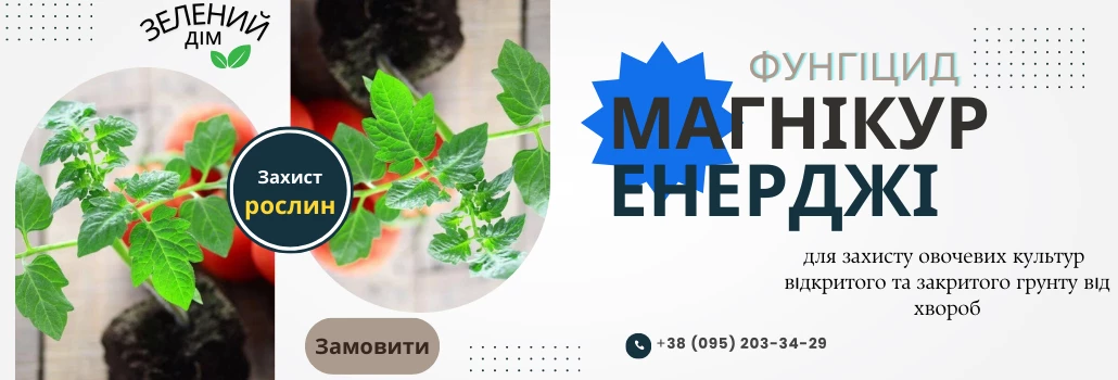 Магнікур Енерджі