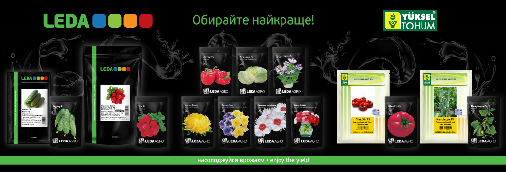 Леда Агро - насіння