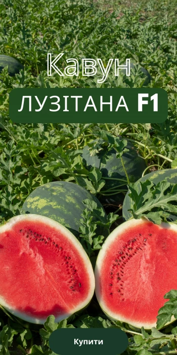 Товар справа