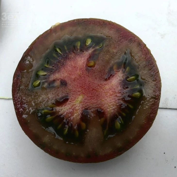 Мавр F1 / Mavr F1,110 дней фото 2