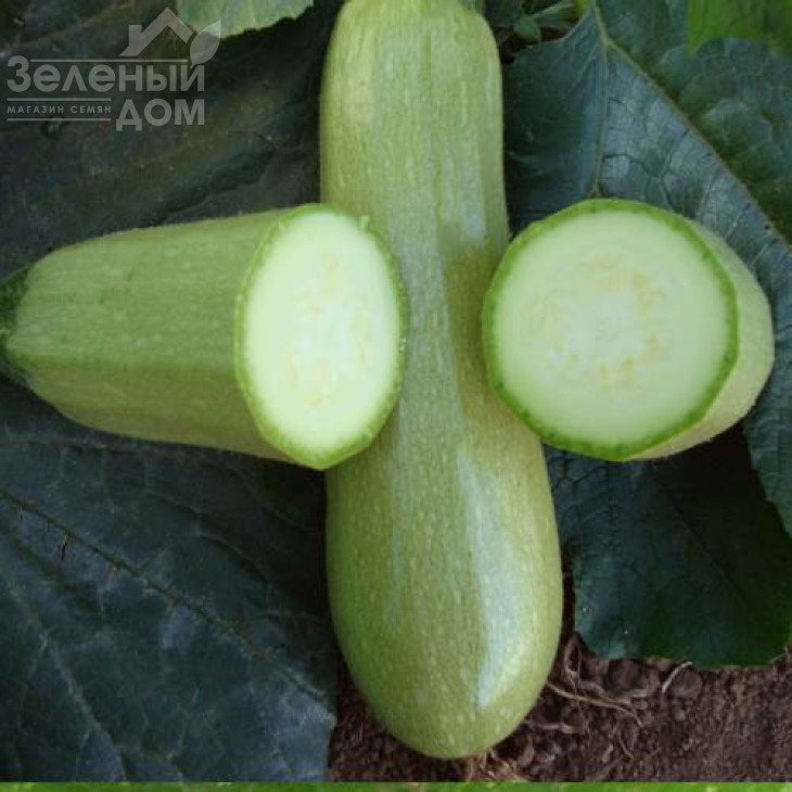 Езра F1 / Ezra F1,45 днів фото 2