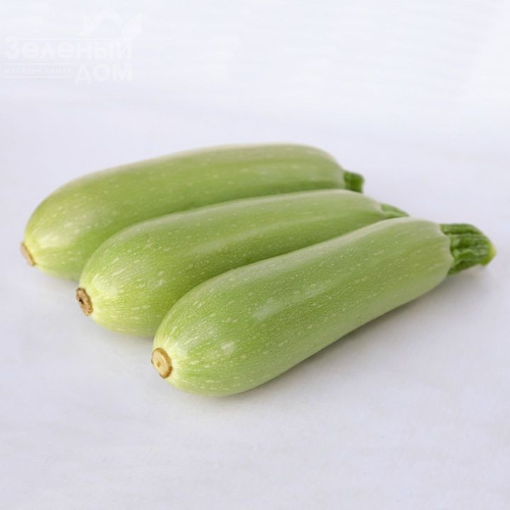 КС 1241 F1 / KS 1241 F1,30-35 днів фото 1