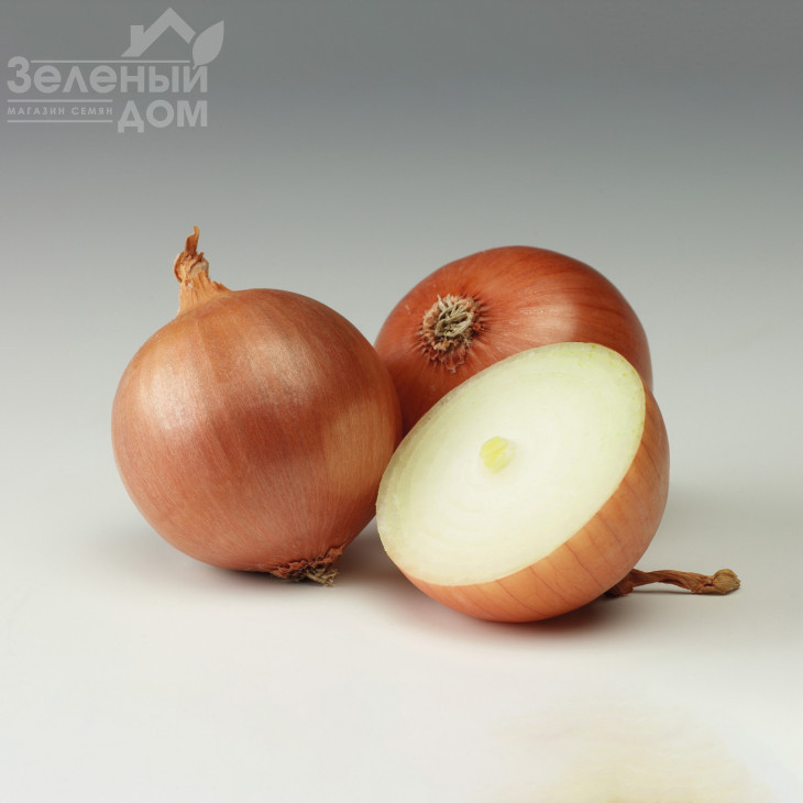 Вісіон F1 / Vision F1,105-110 днів фото 1