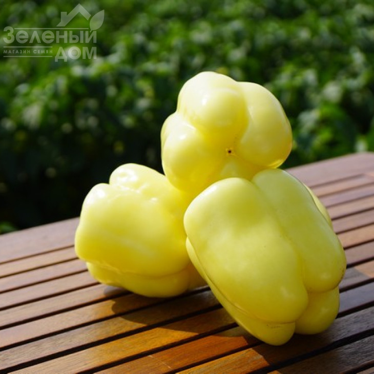 Нікіта F1 / Nikita F1,70 днів фото 3