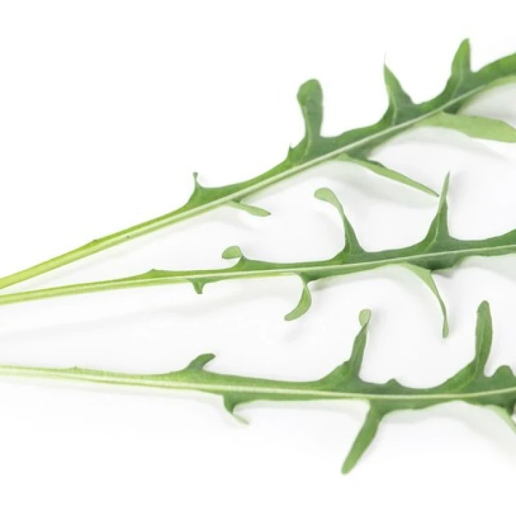 Синоп / Sinope фото 2