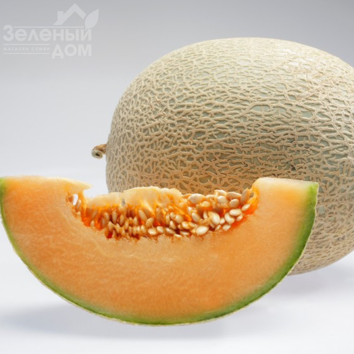 Карібіан Голд F1 / Carribean Gold F1,85 днів фото 1