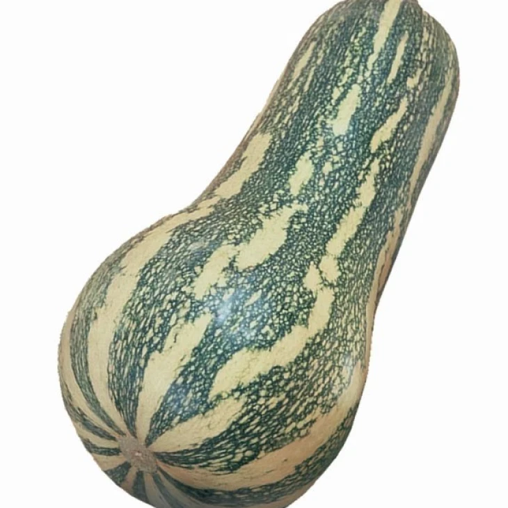 Барбара F1 / Barbara F1, 45 дней фото 1