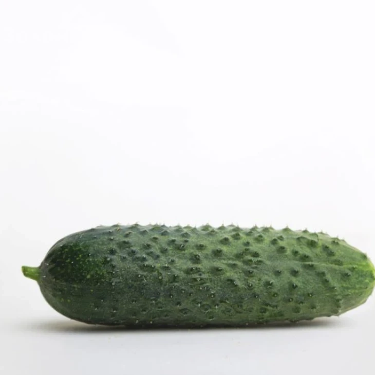 Джуниор F1 (LS 1906) / Junior F1 (LS 1906) фото 2