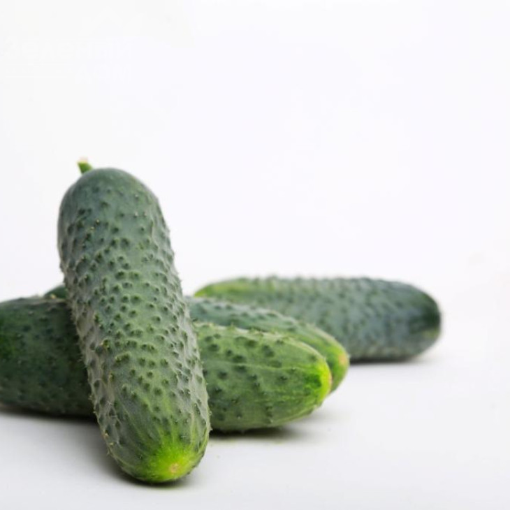 Джуніор F1 (LS 1906) / Junior F1 (LS 1906) фото 3