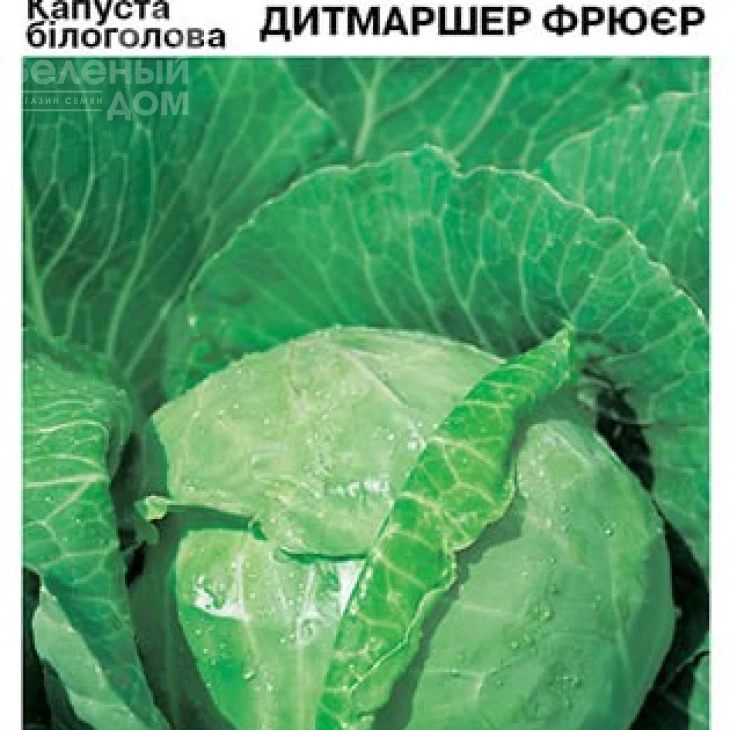 Дитмаршер Фрюер / Ditmarsher Fryuyer фото 2