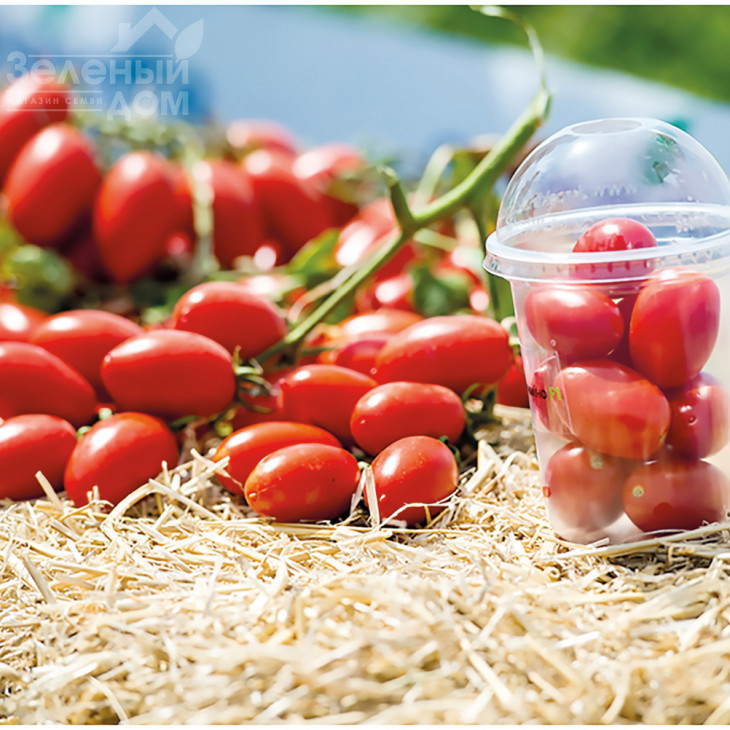 Санміно F1 / Sanmino F1,65-70 днів фото 2