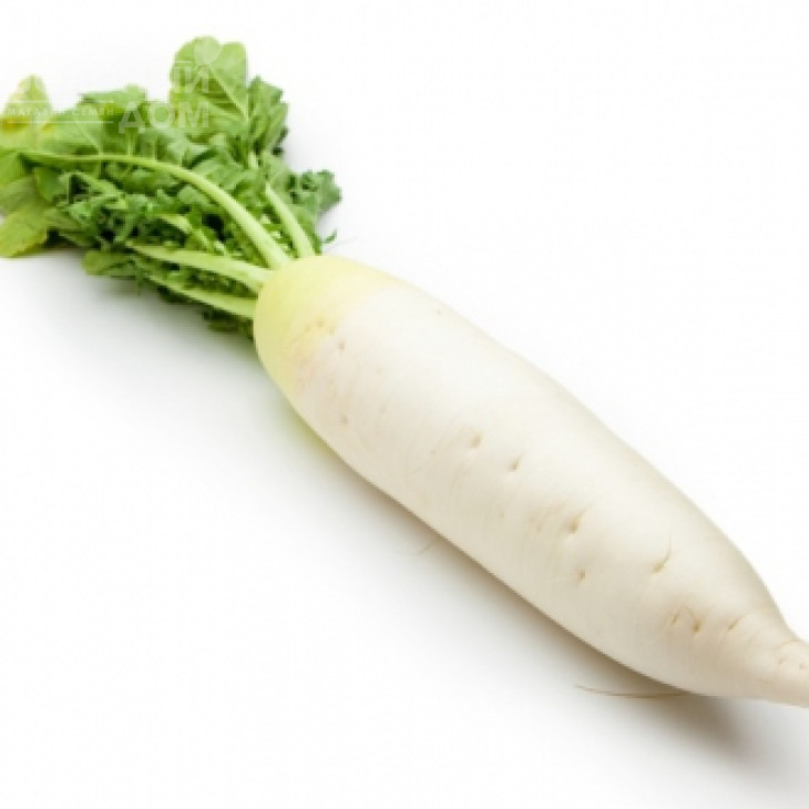 КС 50  F1 / KS 50  F1 фото 1