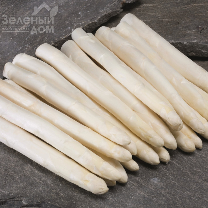 Кумулюс F1 / Cumulus F1 фото 1