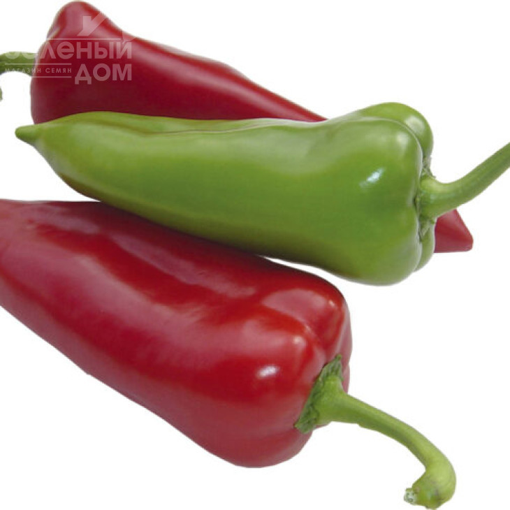 Магус F1 / Magus F1,60 днів фото 3