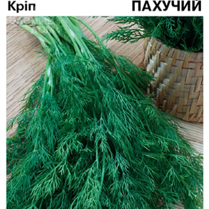 Пахучий / Pakhuchyi фото 1