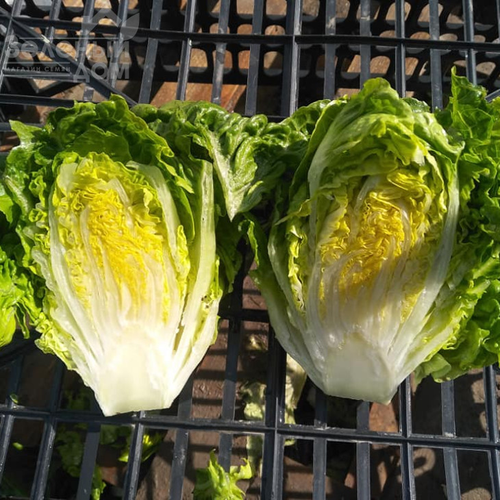 Ксарома / Xaroma фото 4