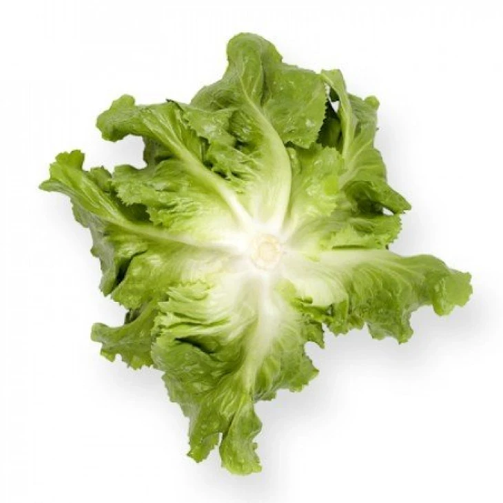 Сейшел / Seychel фото 2