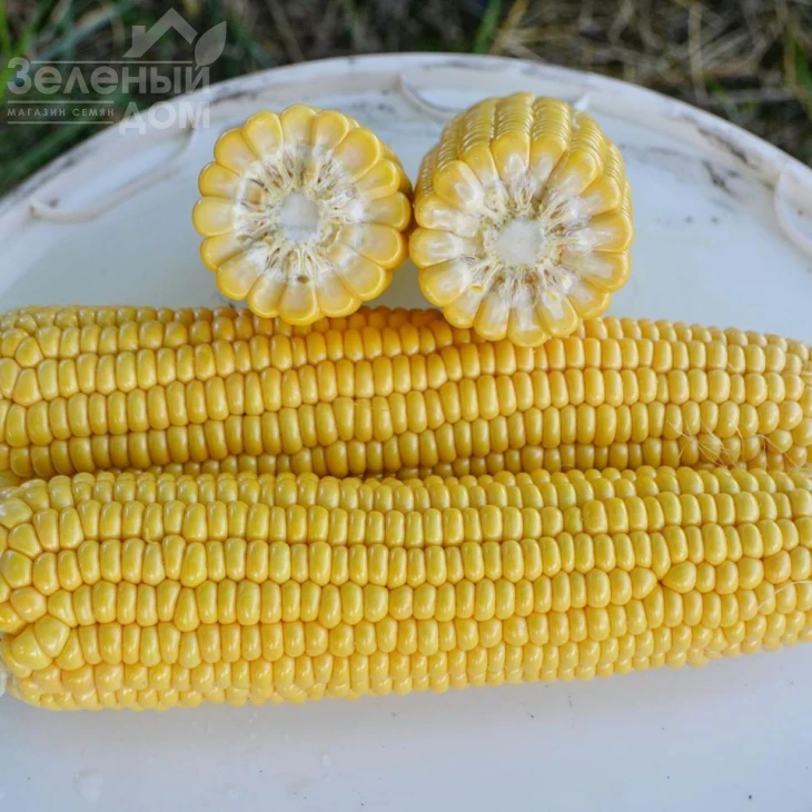 Страйк F1 (1525 F1) / Strayk F1 (1525 F1),72 дня фото 2