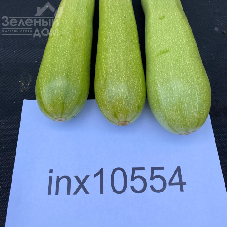 Мерлін (INX 10554) F1 / Merlin (INX 10554) F1 фото 3