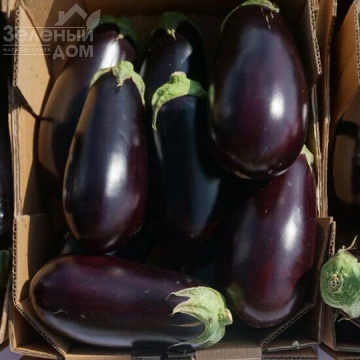 Джокер F1 (ЦРХ 50125) / Joker F1 (CRX 50125),50-55 дней фото 1