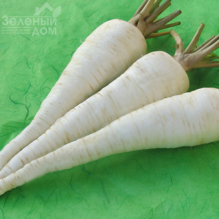 Алба / Alba,175-195 днів фото 1