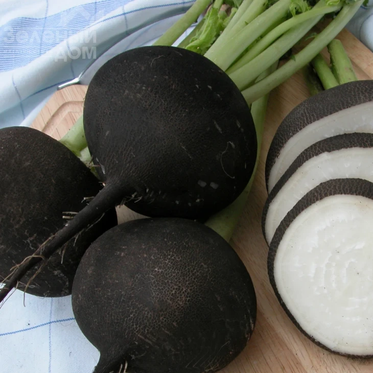 Кулата / Kulata,110-115 дней фото 1