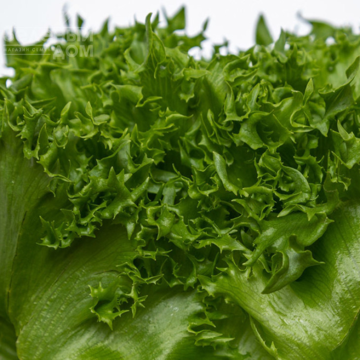 Фінстар F1 / Finstar F1 фото 2