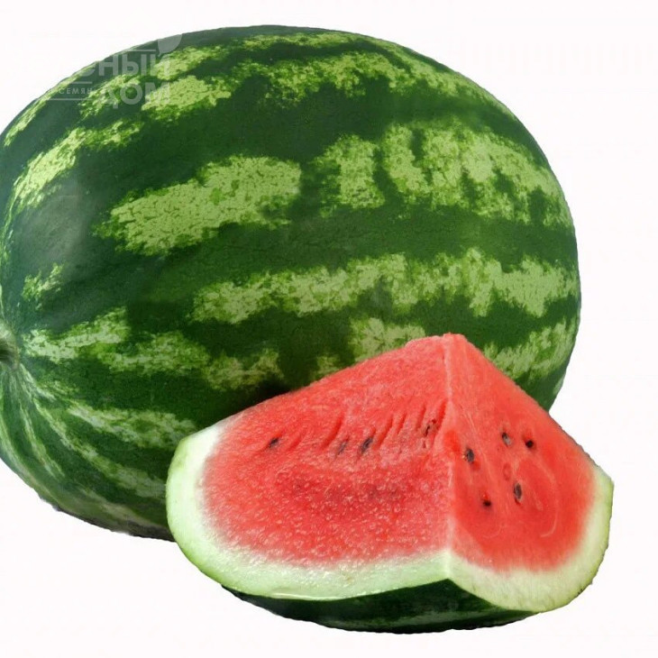 АУ Продюсер / AU Producer (Hollar Seeds) фото 2