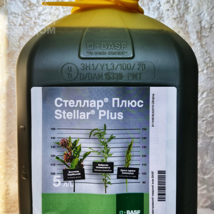 Стеллар Плюс / Stellar Plus, РК фото 1