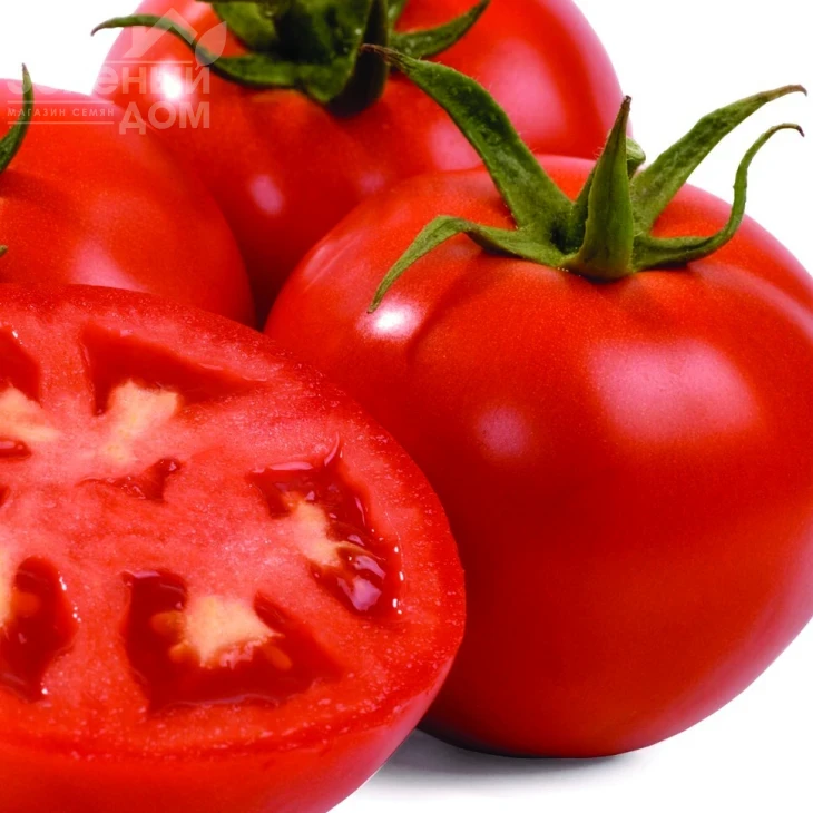 Интерлэнд F1 / Interland F1 фото 1