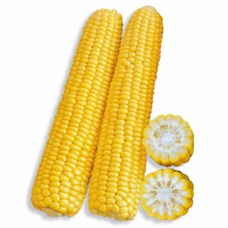 Раннее Наслаждение F1 / Rannee Naslazhdenie F1,68 дней фото 1