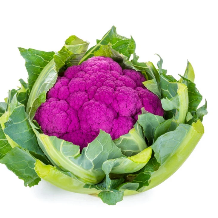 Лавендер F1 / Lavender F1, 65-90 дней фото 4