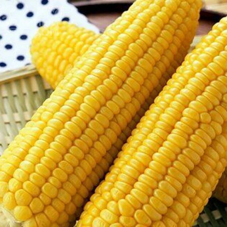 Лонга F1 / Longa F1 фото 1