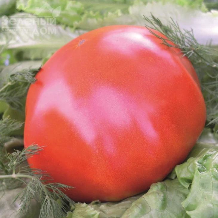 Райское наслаждение / Ray'skoe naslazhdenie фото 1