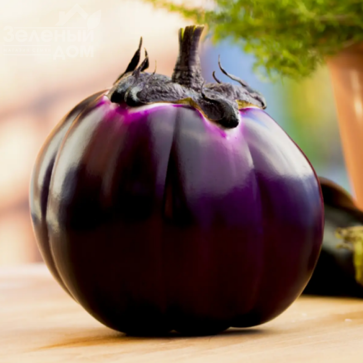 Бріска F1 / Bryska F1 фото 1