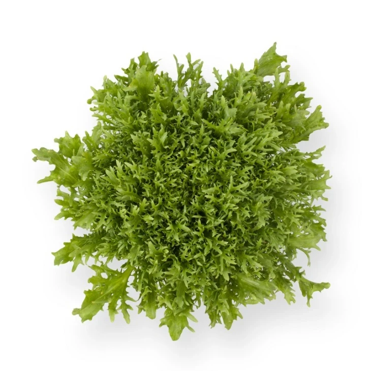 Корби / Korbi фото 1