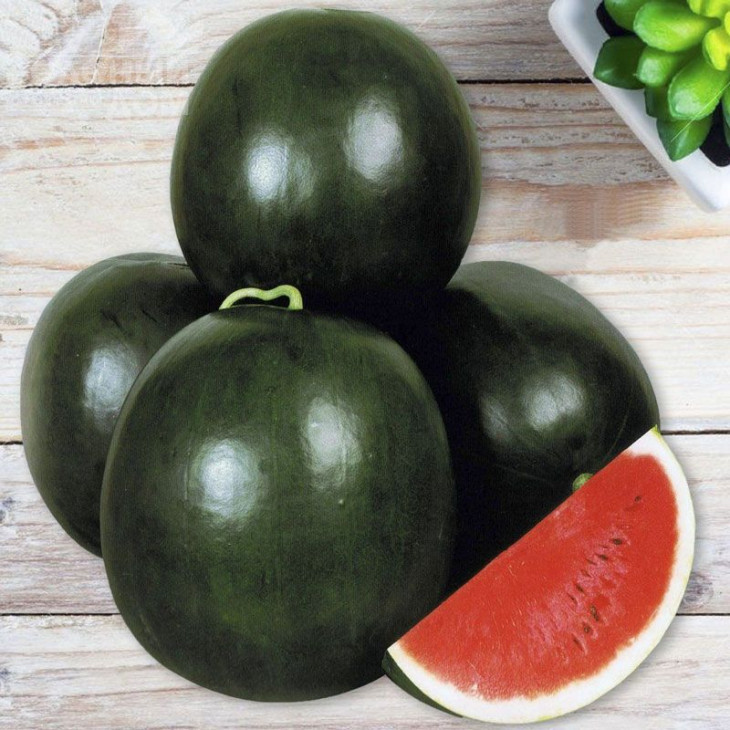 Ромерія / Romeria фото 1