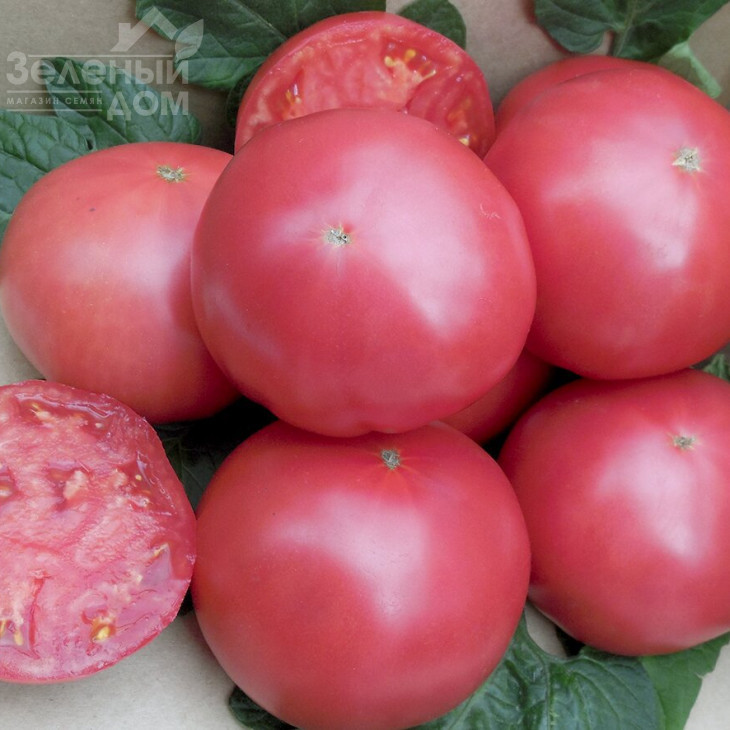 Сім-Сім (ЕЗ 777) F1 / Sim-Sim (EZ 777) F1, 60-65 днів фото 1