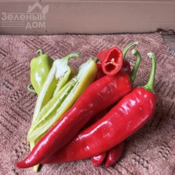 Горн F1 / Horn F1, 50-55 дней фото 1