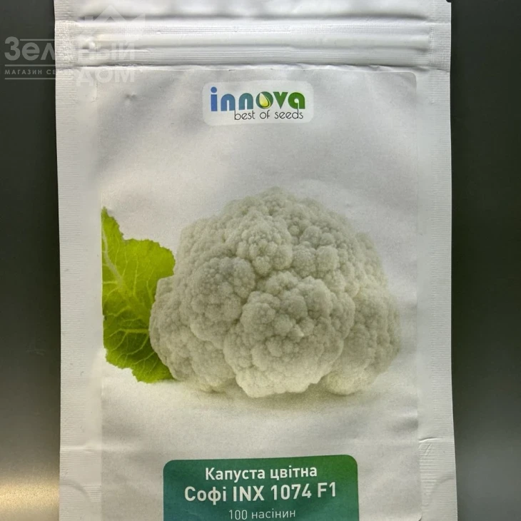 Софи (INX 1074) F1 / Sofi (INX 1074) F1, 75-80 дней фото 3