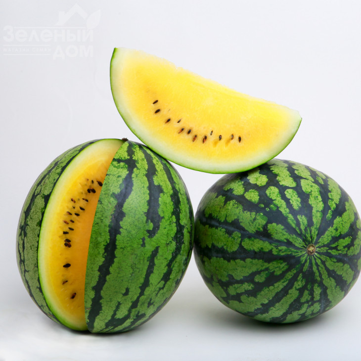 Покемон (LS 1809) F1 / Pokemon (LS 1809) F1 фото 1